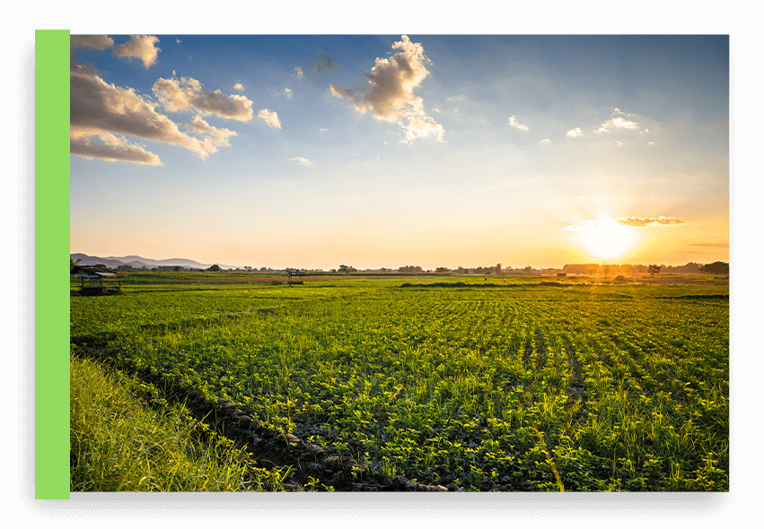 Image of undeveloped land for sale.