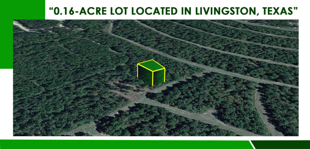 Affordable 0.16-Acre Property in Lake Livingston Village – Minutes from the Lake