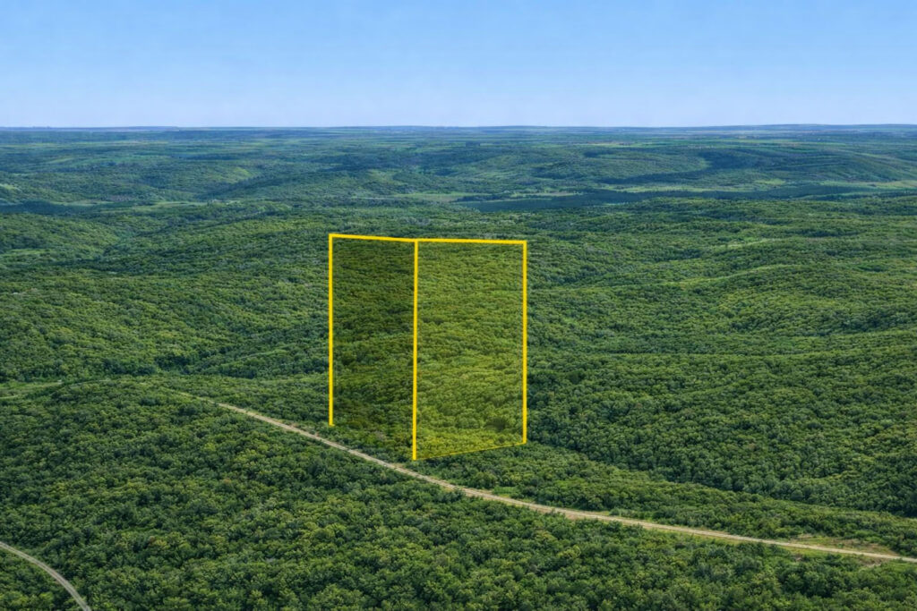 A Ridgeline View and a Ten Dollar Tax Bill