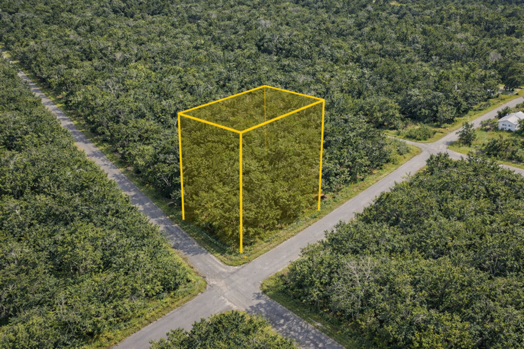 A Corner Lot in Florida's Spring Capital