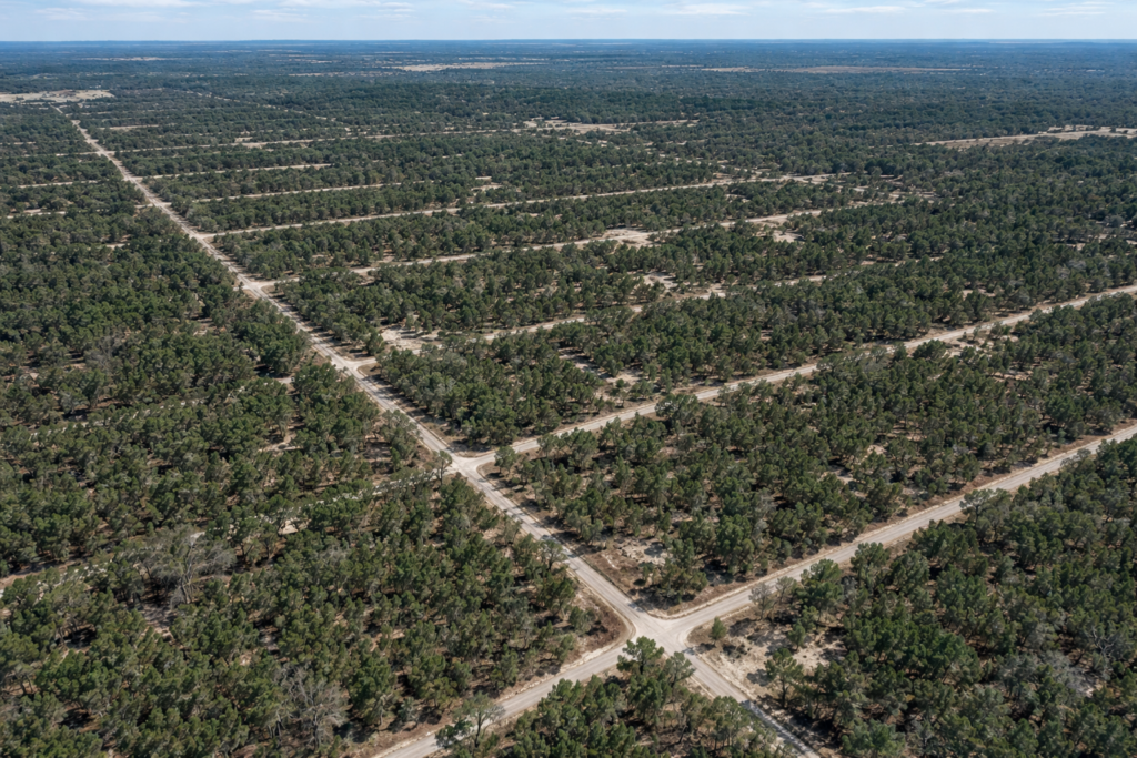 Your First Step Into Florida Land Ownership
