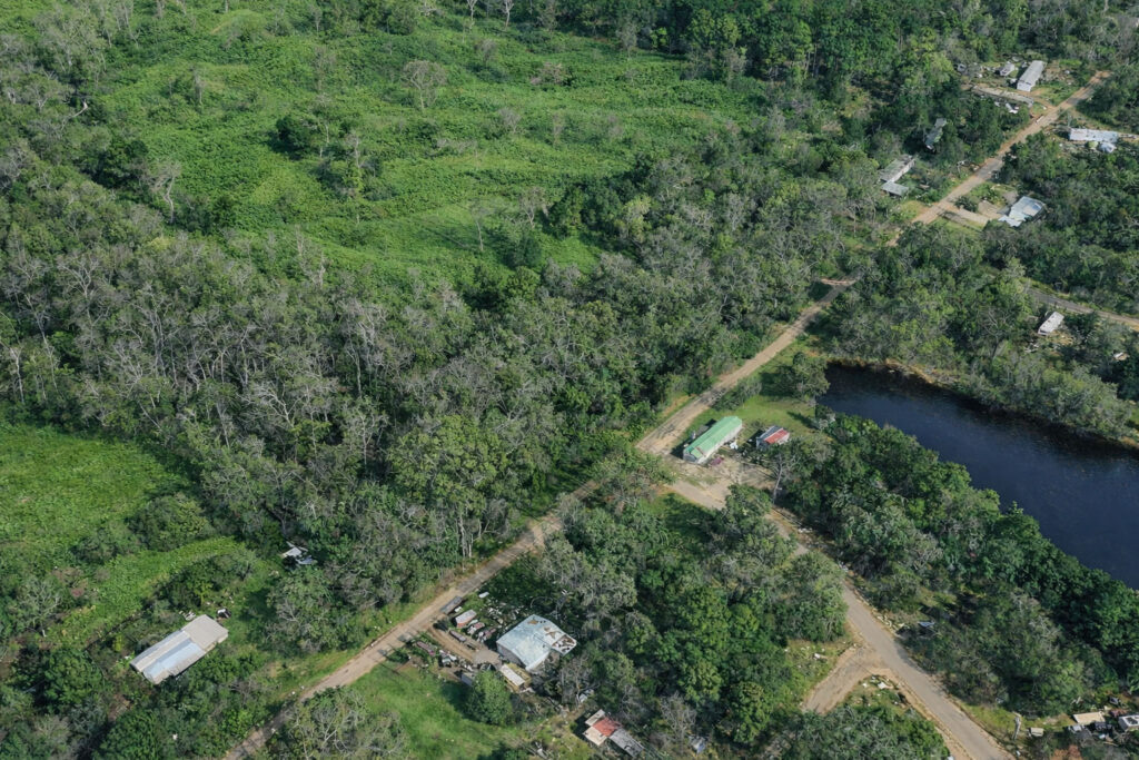 Your Holiday Pines Lot on Dogwood Trail