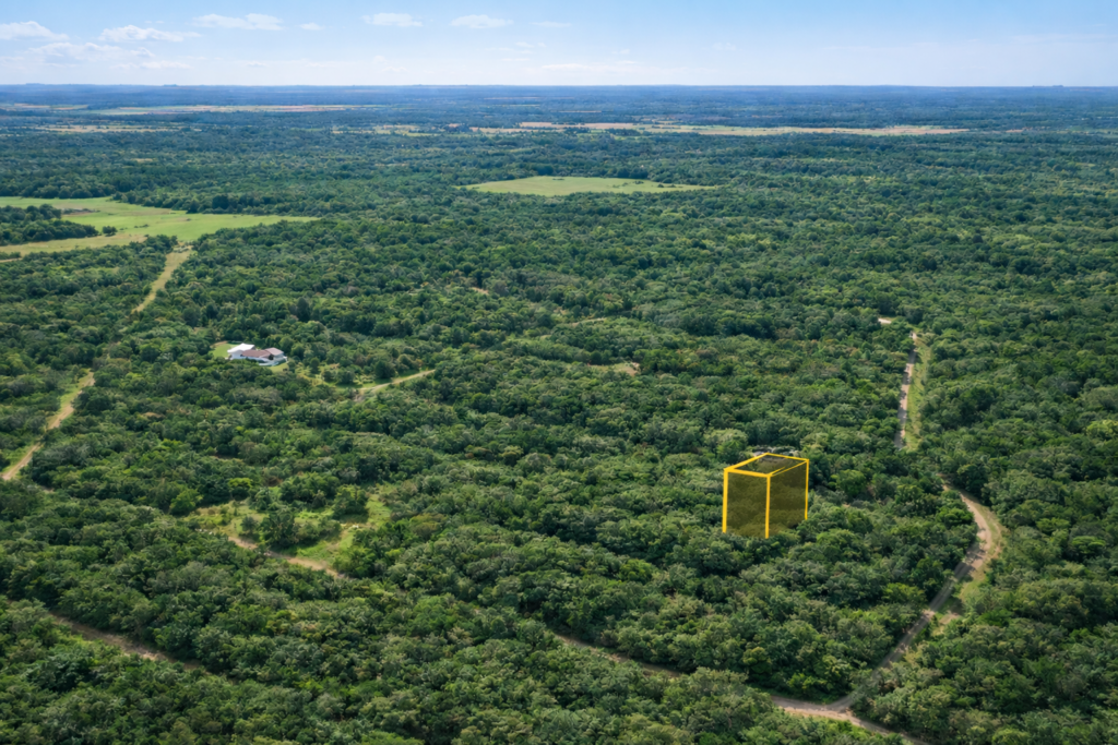 Your East Texas Haven on Ivey Drive