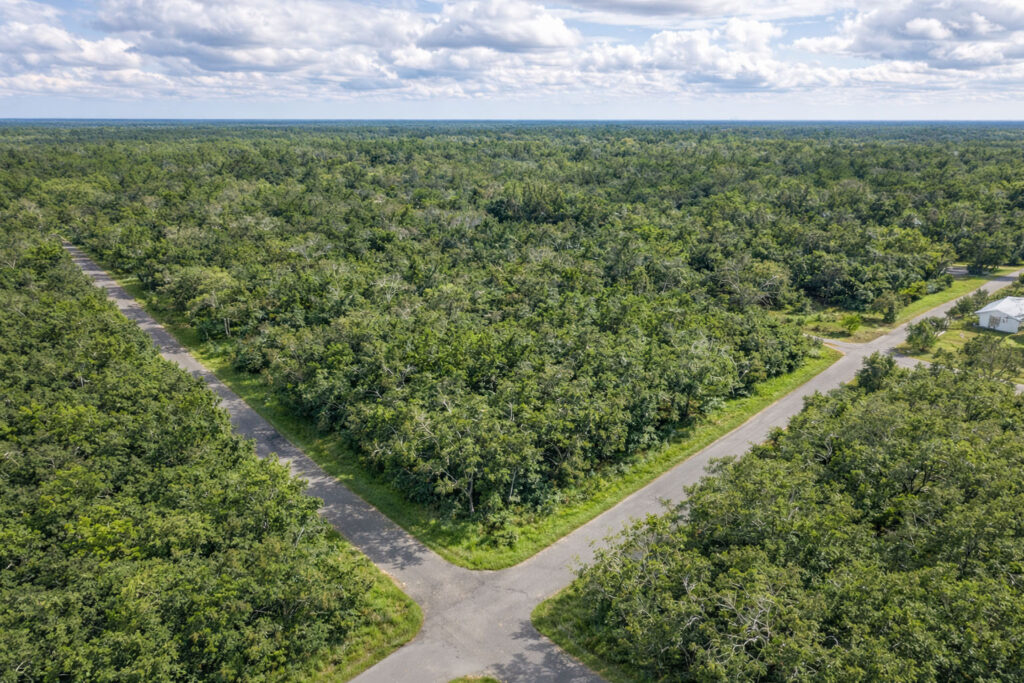A Corner Lot in Florida's Spring Capital