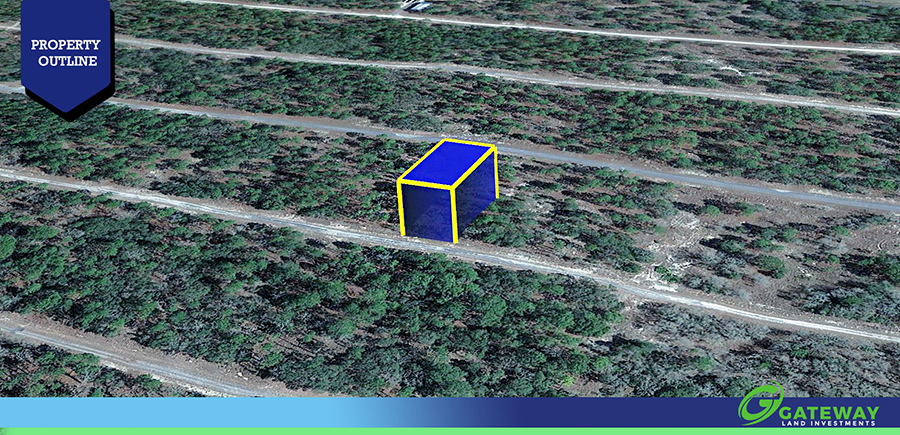 Where the Water Runs Crystal Clear