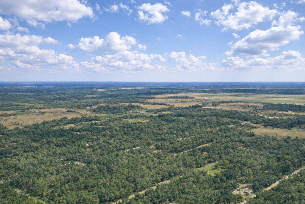 Nature. Peace. Florida. Yours.