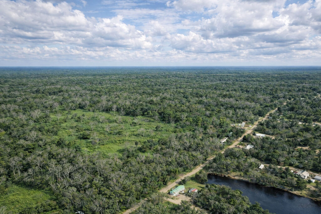 Your Holiday Pines Lot on Dogwood Trail