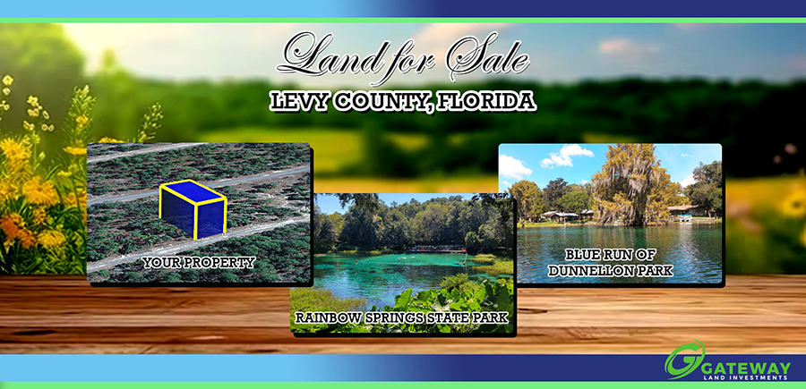 Where the Water Runs Crystal Clear