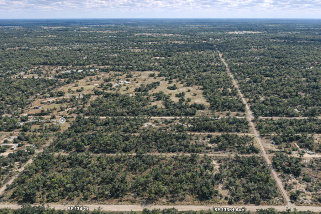 Where the Water Runs Crystal Clear