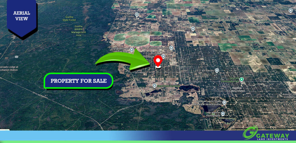 A Corner Lot in Florida's Spring Capital