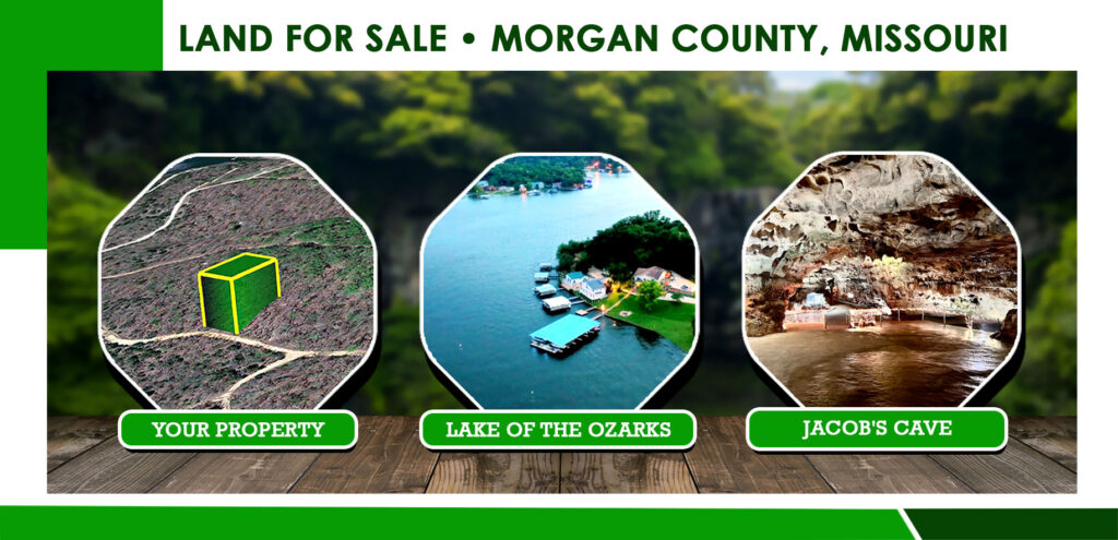 Fish, Hunt, Camp, Repeat