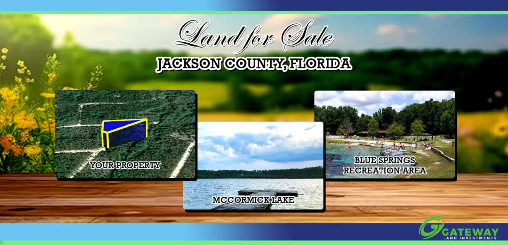 Fresh Start on Orange Peel Drive