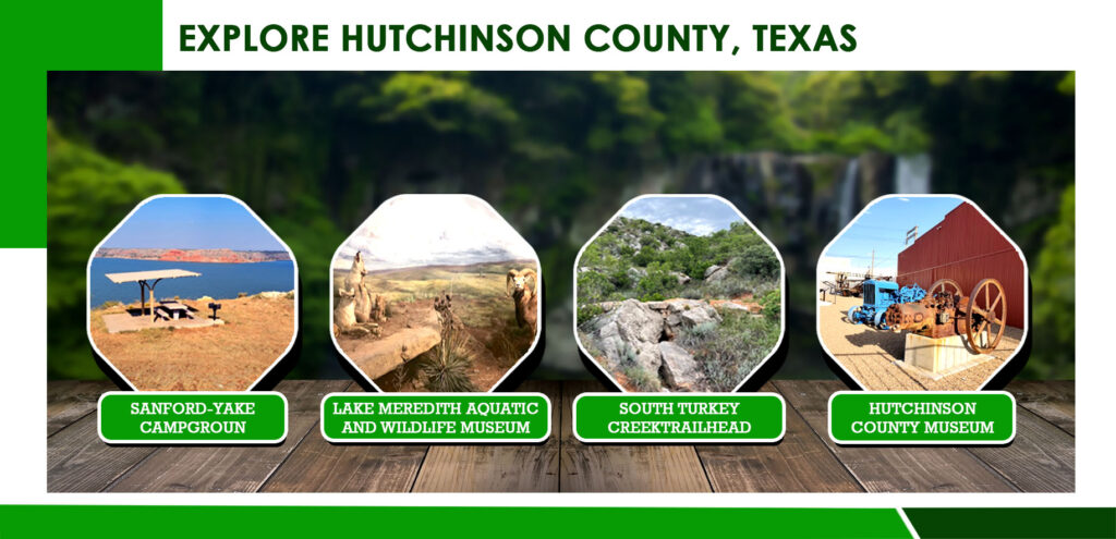 Lake Life on Boat Ramp Road