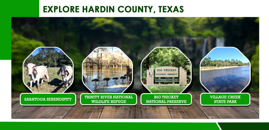 Your Callender Lake Retreat