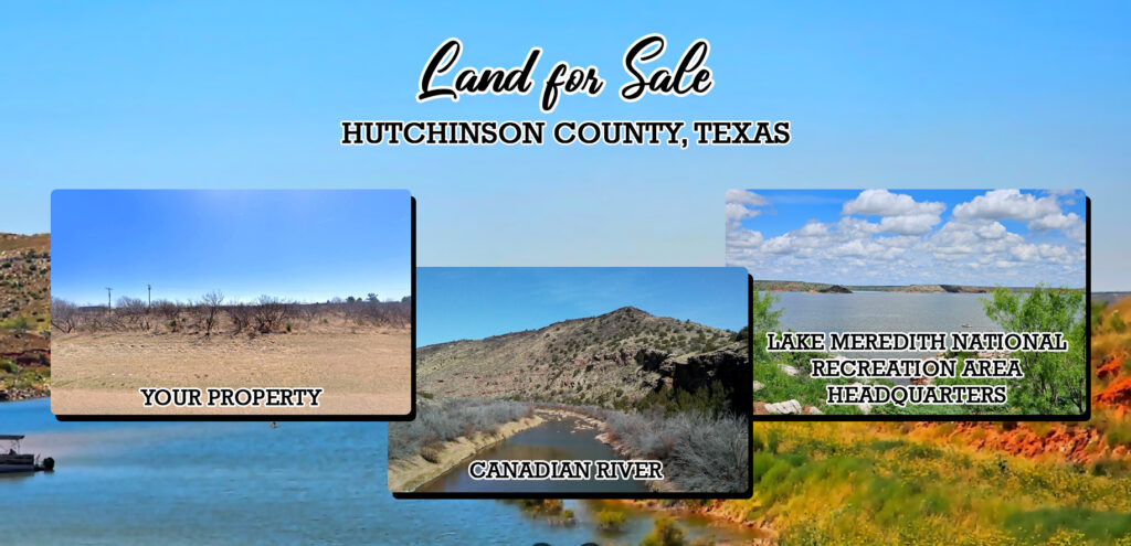 Over an Acre of Texas Freedom