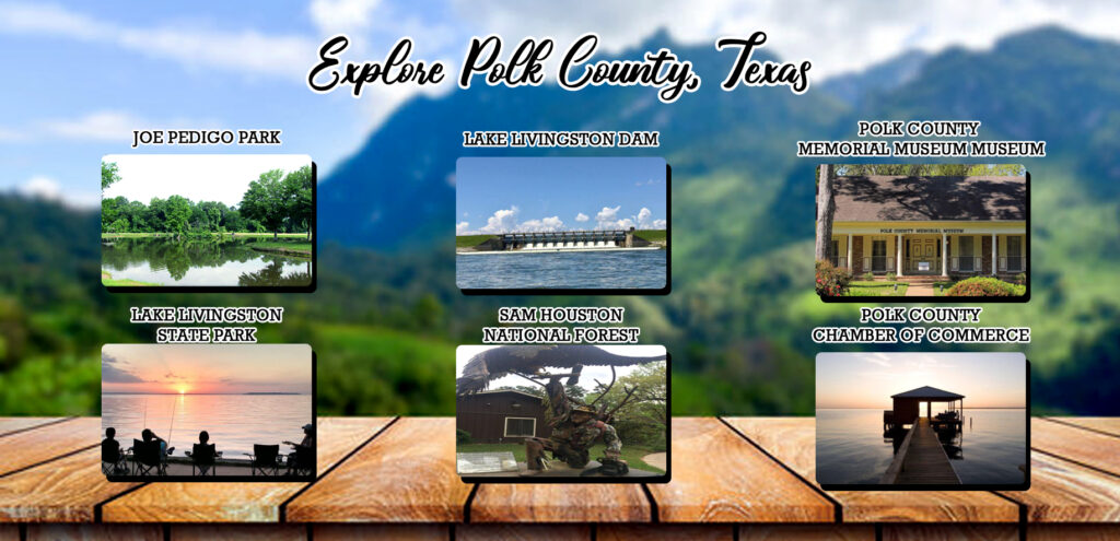 Lake Livingston Living on Mule Deer Trail