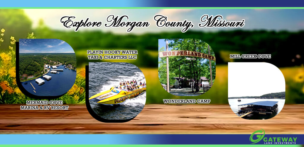 The Lot Next Door Is Still Available