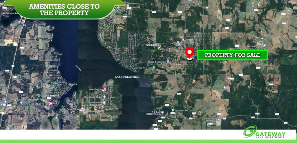 Your Spot in Lakewood, Texas