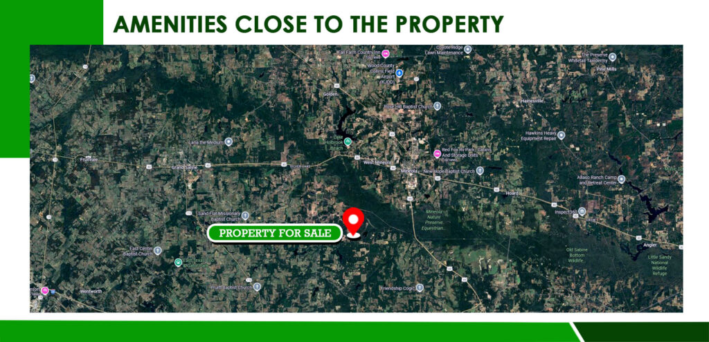 Your Holiday Pines Lot on Dogwood Trail