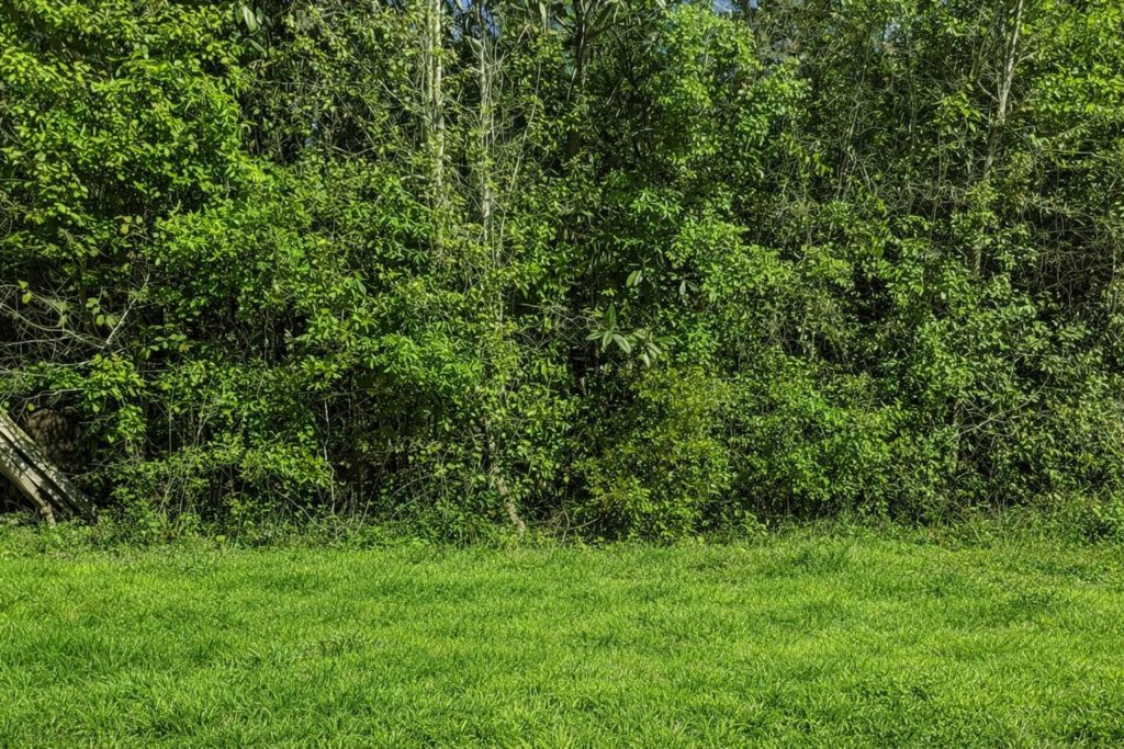 Your Own Slice of Florida's Great Outdoors