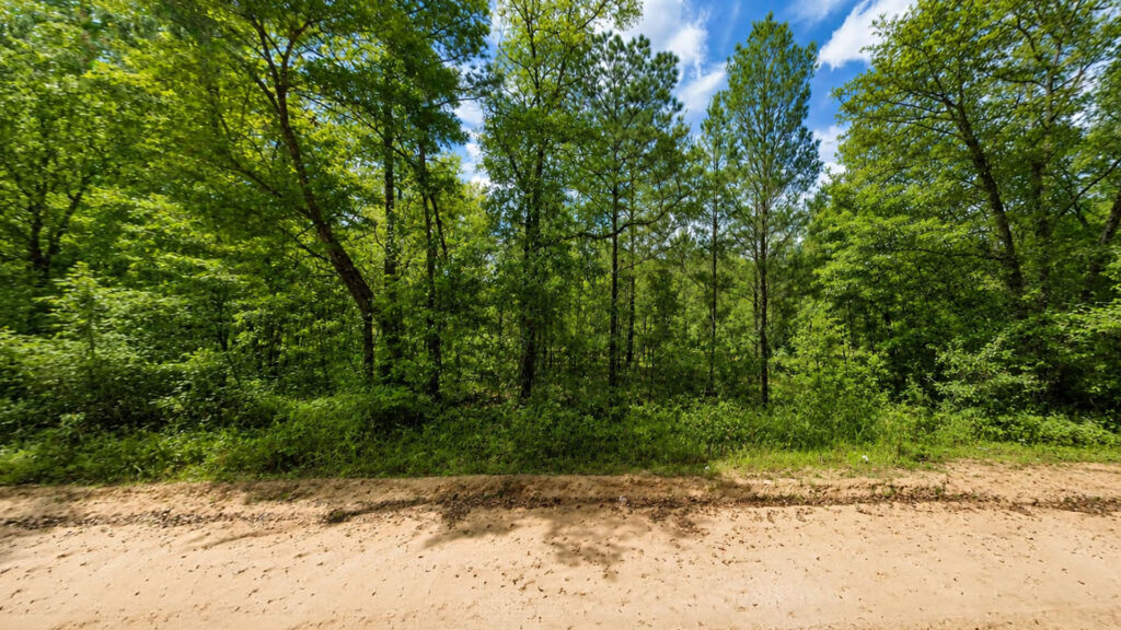 No HOA Florida Lot – Build or Invest