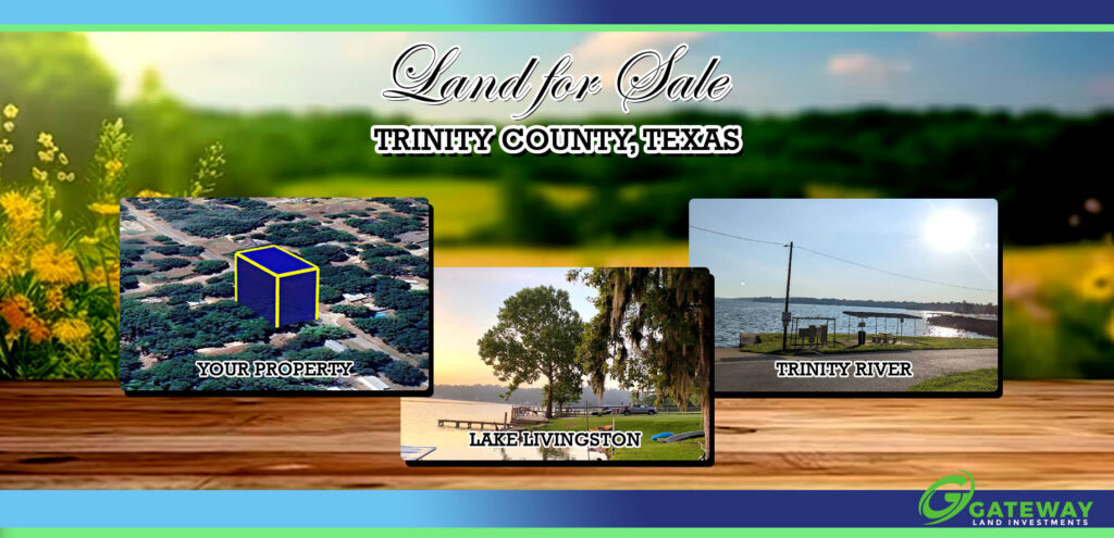 Lake Living & Investment Potential