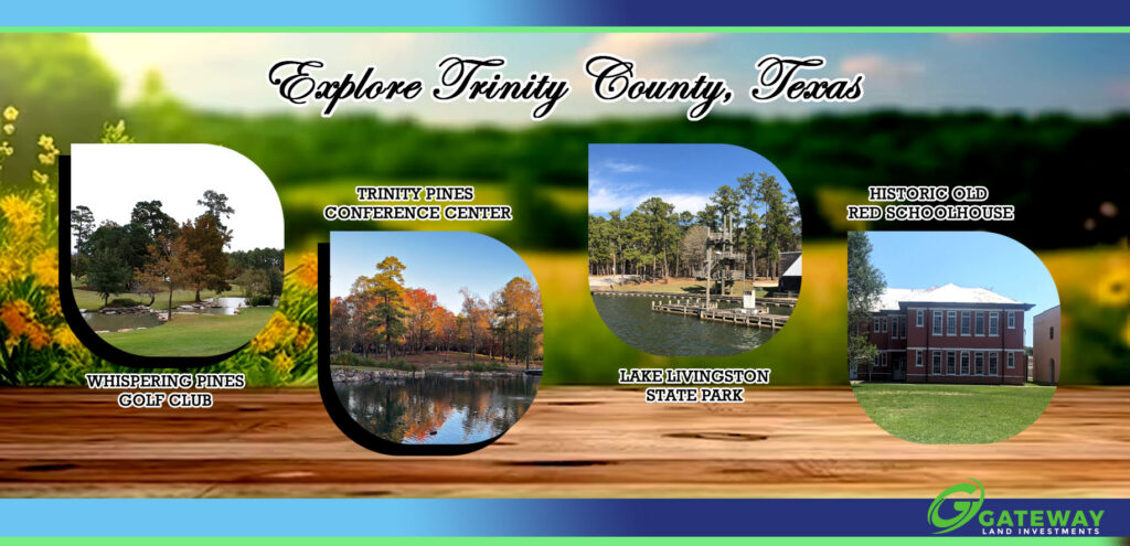 Lake Living & Investment Potential