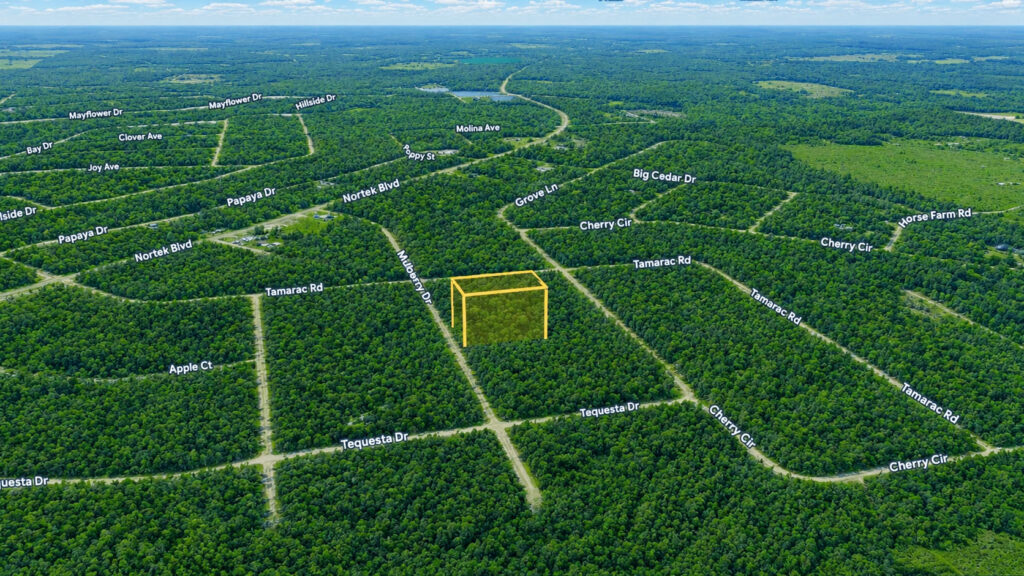 High and Dry 1.20 Acres Compass Lake Hills