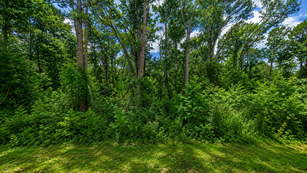 Your Lake Palestine Escape