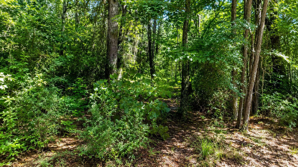 Lake Livingston Living on Mule Deer Trail