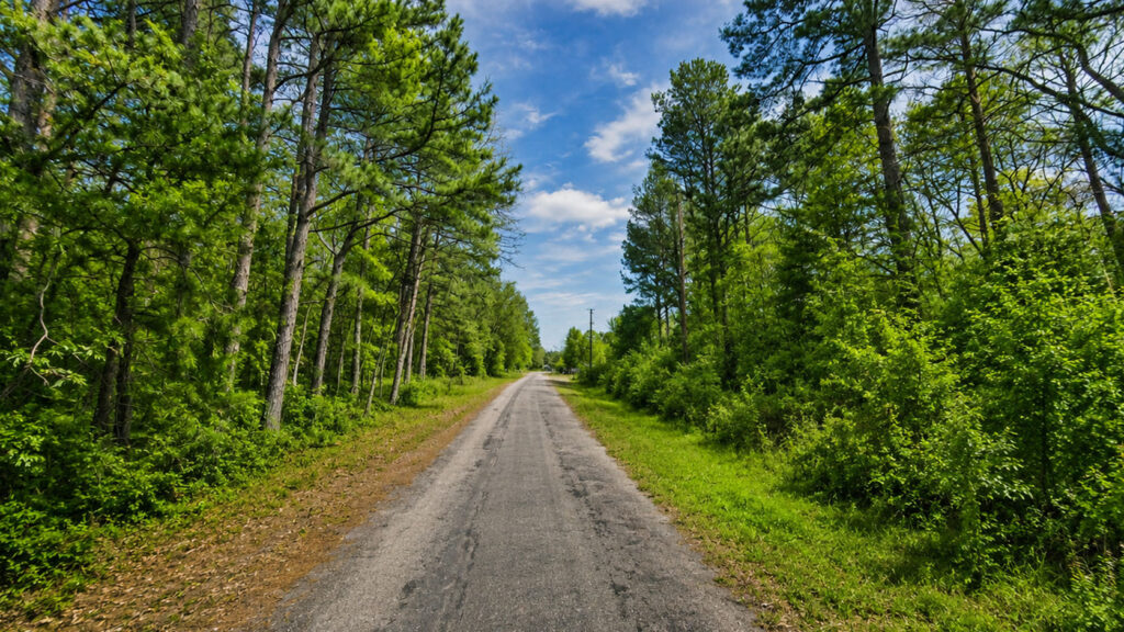 Your Lake Palestine Escape