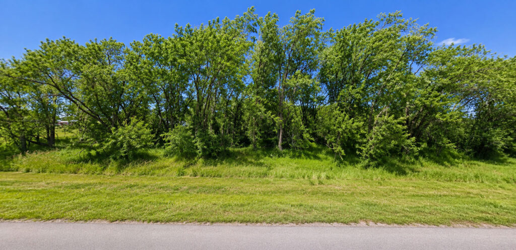Big Lot. No HOA. Business Ready