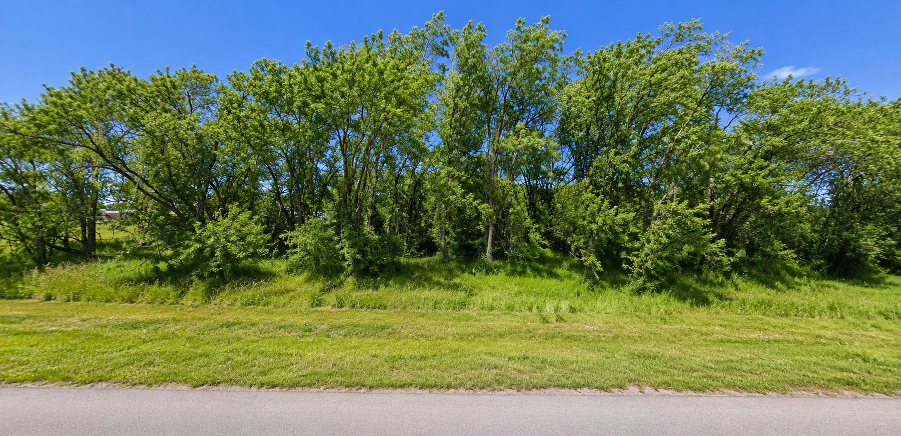 Big Lot. No HOA. Business Ready