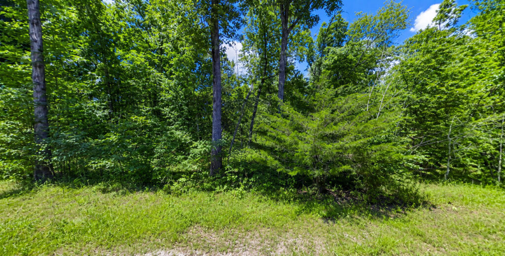 Resort Living at Seminole Tansi