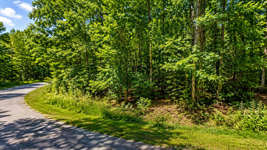 The Best Entry Price into Lake Tansi Resort