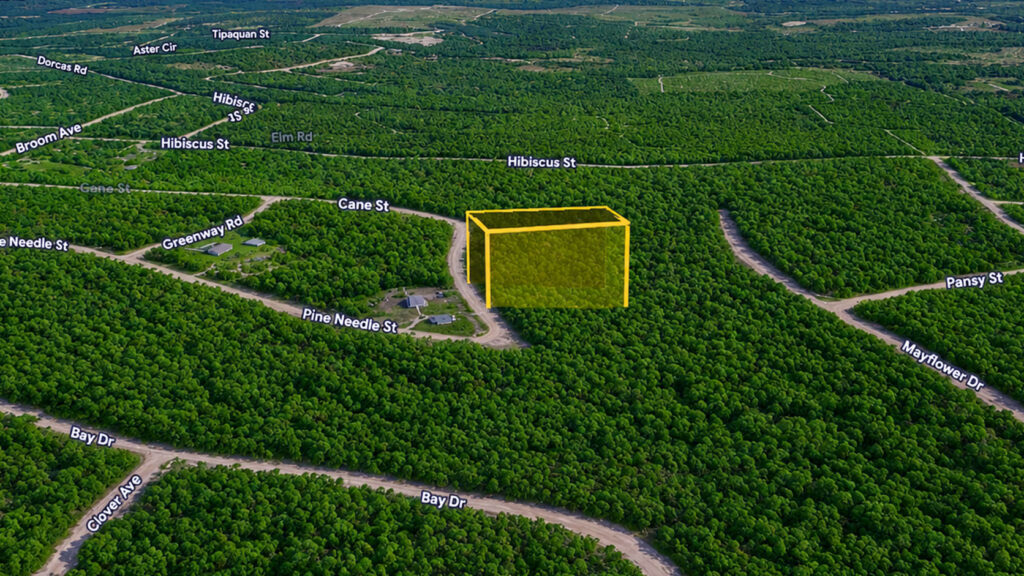 Florida Land Opportunity