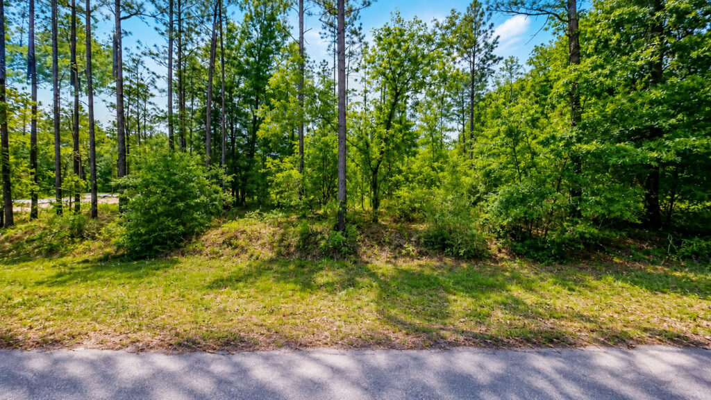 Your Florida Land Opportunity