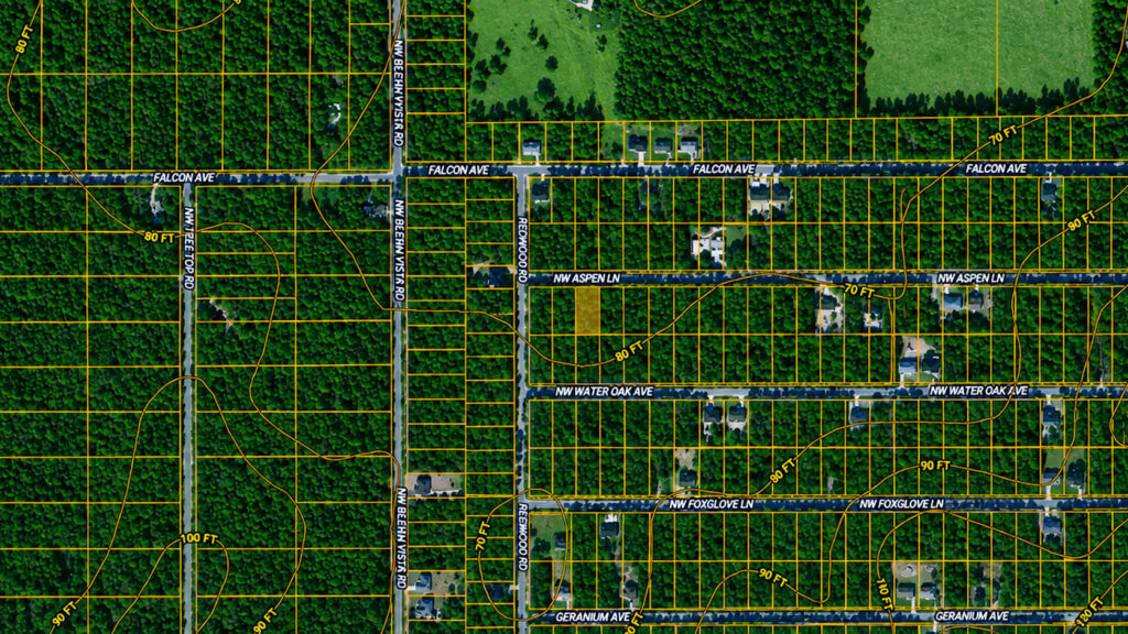Your Florida Land Opportunity
