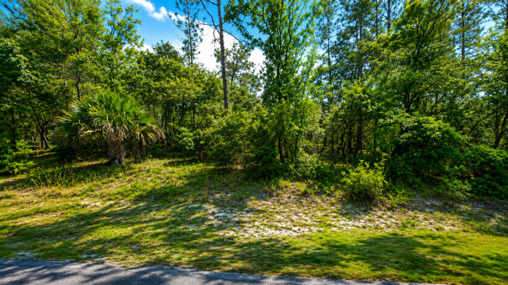 Dunnellon Florida Land Retreat
